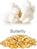 Butterfly popcorn - popped and unpopped kernels