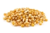 Bullseye mushroom popcorn kernels - unpopped